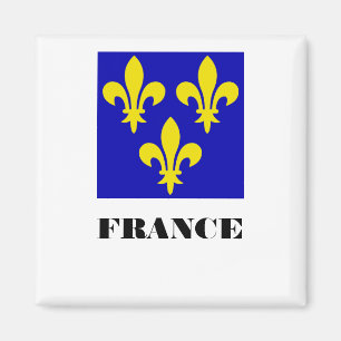 Aimant Bannière royale française médiévale Fidélité Héral