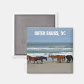 Aimant Banques extérieures de Chevaux sauvages OBX Caroli (Recto/Verso)