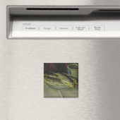 Aimant Baptême des Chamberlains (In Situ (Lave-vaisselle))