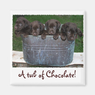 Aimant Baquet d'aimant de chocolat