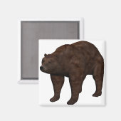 Aimant Bär (Recto/Verso)
