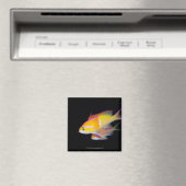Aimant Bar blanc Anthias (In Situ (Lave-vaisselle))