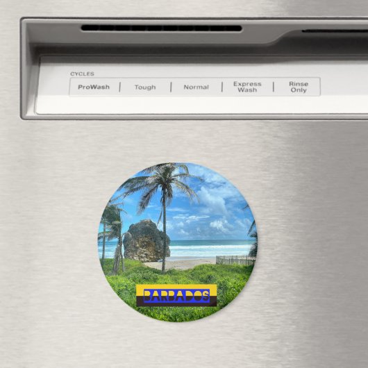 Aimant Barbade - Plage Cattlewash (In Situ (Lave-vaisselle))