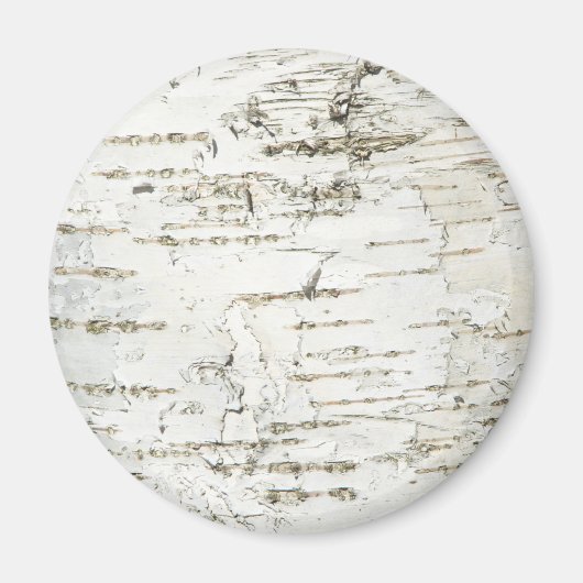 AIMANT BARK BIRCH (Devant)