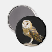Aimant Barn Owl (Recto/Verso)