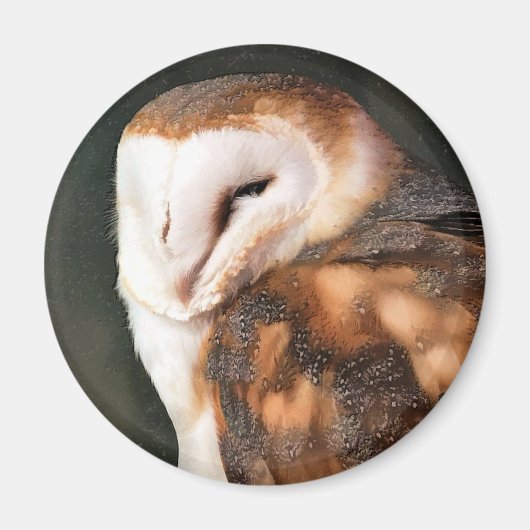 AIMANT BARN OWL (Devant)