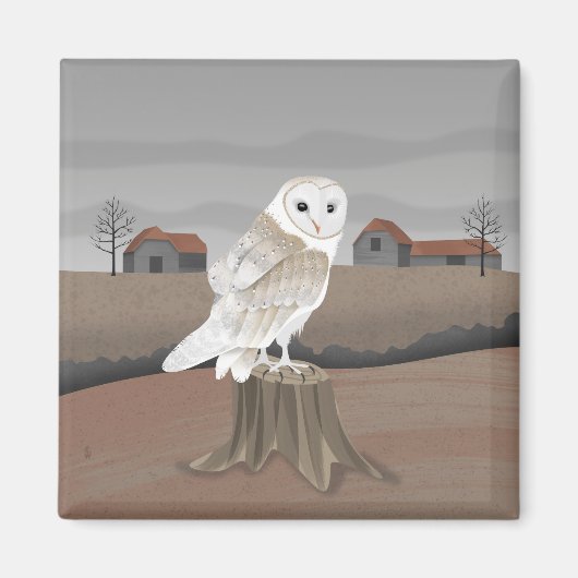 Aimant Barn Owl (Devant)