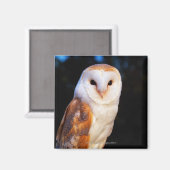 Aimant Barn Owl 2 (Recto/Verso)
