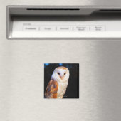 Aimant Barn Owl 2 (In Situ (Lave-vaisselle))