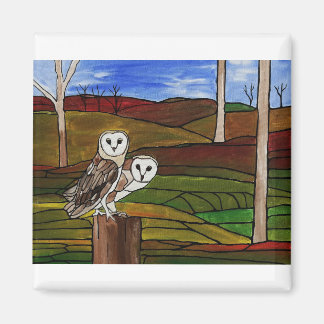 AIMANT BARN OWLS