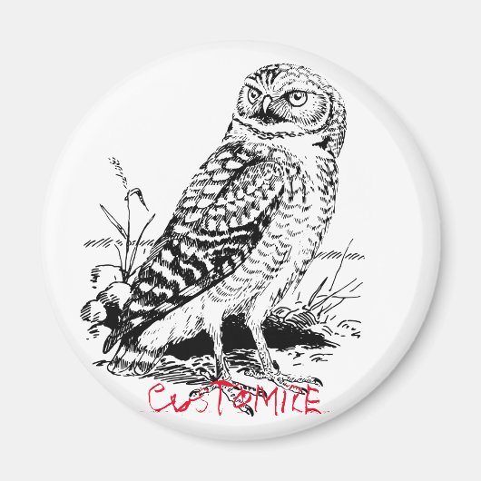 Aimant Barne Owl Thunder_Cove (Devant)