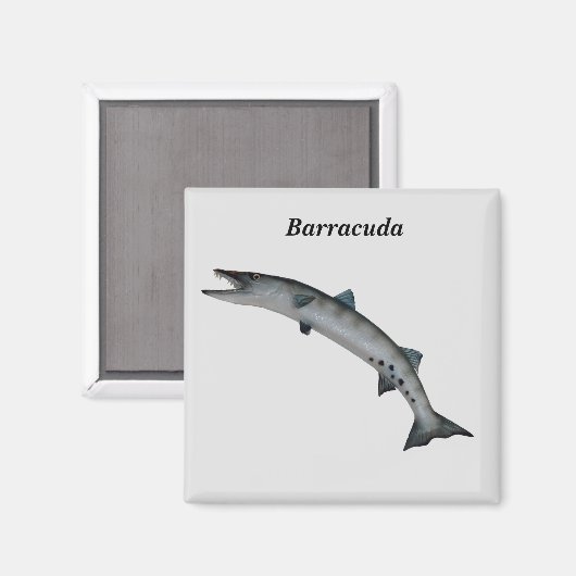 Aimant Barracuda Poisson de jeu (Recto/Verso)