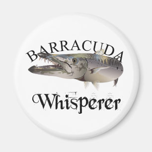 Aimant Barracuda Whisperer de couleur claire