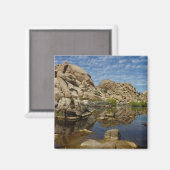 Aimant Barrage de Barker, reflet à Joshua Tree I (Recto/Verso)