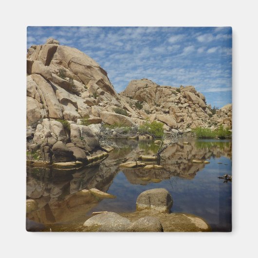 Aimant Barrage de Barker, reflet à Joshua Tree I (Devant)
