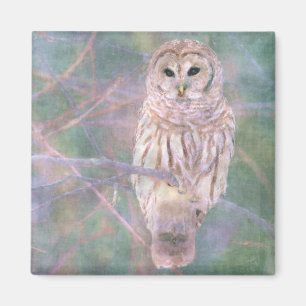 Aimant Barred Owl Pastel Oilpaint
