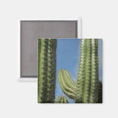 Aimant Barrel Cactus I Desert Photo (Recto/Verso)