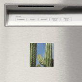Aimant Barrel Cactus I Desert Photo (In Situ (Lave-vaisselle))
