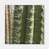 Aimant Barrel Cactus II Désert Nature Photo (Devant)