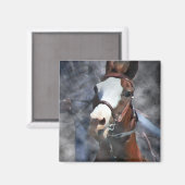 AIMANT BARREL HORSE (Recto/Verso)