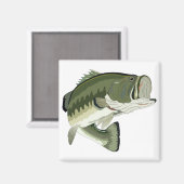 AIMANT BASES LARGEMOUTH (Recto/Verso)