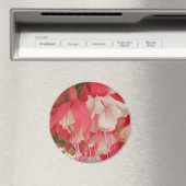 Aimant Bashkirtseff (In Situ (Lave-vaisselle))