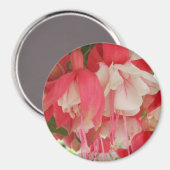 Aimant Bashkirtseff (Recto/Verso)