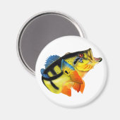 Aimant Basse de paon 3 (Recto/Verso)