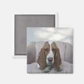 Aimant Basset Hound (Recto/Verso)