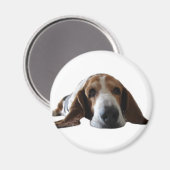 Aimant Basset Hound allongé (Recto/Verso)