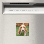 Aimant Basset Hound chiot marchant (In Situ (Lave-vaisselle))