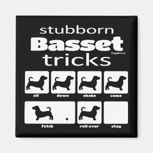 Aimant Basset Tricks