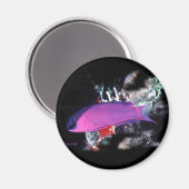 Aimant Basslet H2Oasis (Recto/Verso)