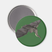 Aimant Bat Elephant Hybride (Recto/Verso)