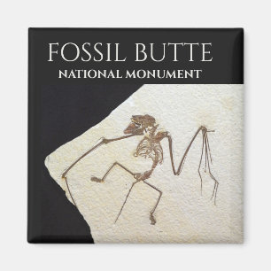 Aimant Bat Fossil, le monument national de Fossil Butte