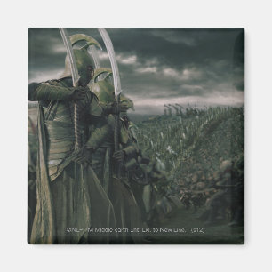 Aimant Bataille pour la terre moyenne