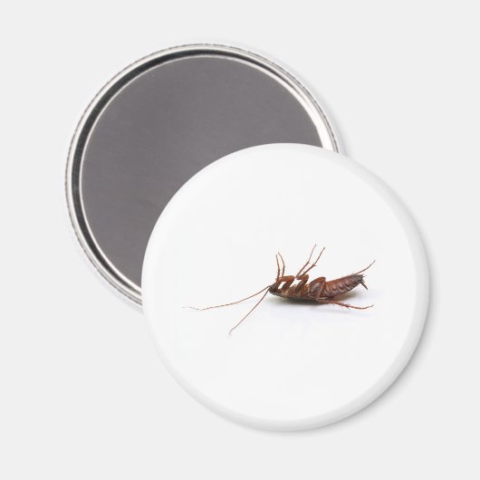 Aimant Bateau mort (Recto/Verso)