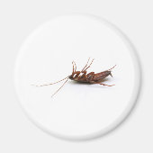 Aimant Bateau mort (Devant)