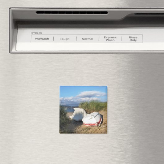 AIMANT BATEAUX (In Situ (Lave-vaisselle))