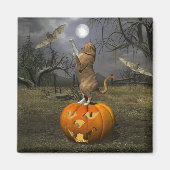 Aimant Bats battables Halloween Orange Chat (Devant)
