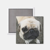 Aimant Bauwk ... Soi Dog, Thaïlande (Recto/Verso)