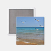 Aimant Beach and Seagulls (Recto/Verso)
