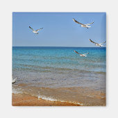Aimant Beach and Seagulls (Devant)