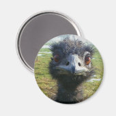 Aimant Beady Eyes EMU (Recto/Verso)