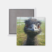 Aimant Beady Eyes EMU (Recto/Verso)