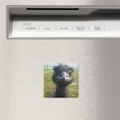 Aimant Beady Eyes EMU (In Situ (Lave-vaisselle))