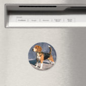 Aimant beagle (In Situ (Lave-vaisselle))