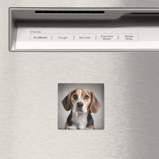 Aimant Beagle (In Situ (Lave-vaisselle))
