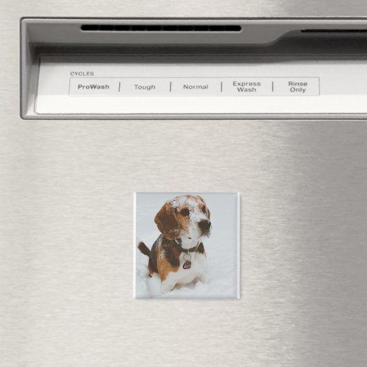 Aimant beagle (In Situ (Lave-vaisselle))