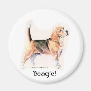 Aimant Beagle